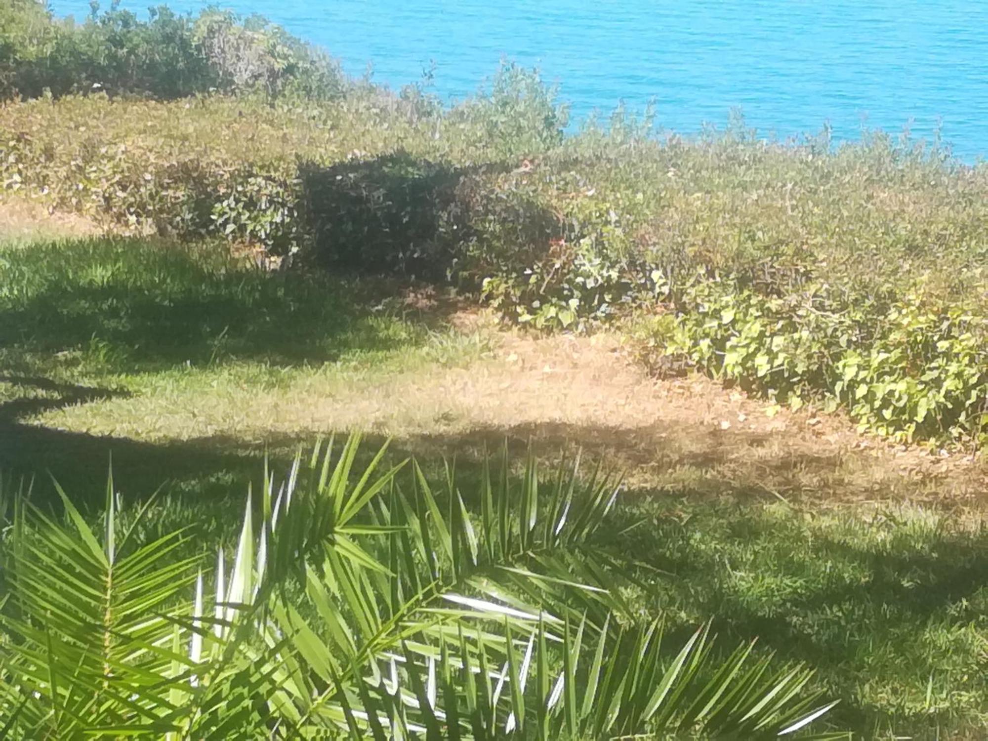 Palaiohora Avias Apartments 2 Εξωτερικό φωτογραφία